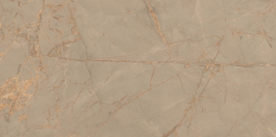 Picture of Porceline tiles Golden Web Brown Glossy 60*120