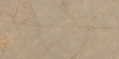 Picture of Porceline tiles Golden Web Brown Glossy 60*120