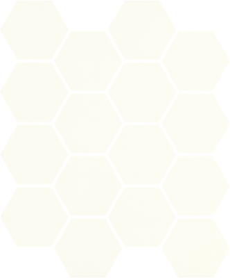 Picture of Mosaic Hexagon Bianco 22x22,5