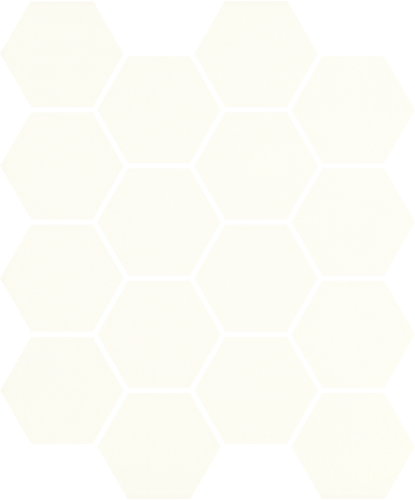 Изображение Мозаика Hexagon Bianco 22*25.5 #S