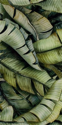 Picture of Decor Leaf B 30x60