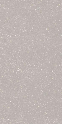 Picture of Porceline tiles Moondust Silver Rekt. Mat. 59,8*119,8 #S