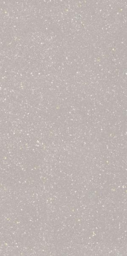 Picture of Porceline tiles Moondust Silver Rekt. Mat. 59,8*119,8 #S