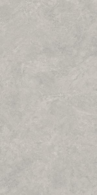 Picture of Porceline tiles Lightstone Grey Rekt. Mat. 59,8*119,8 #S