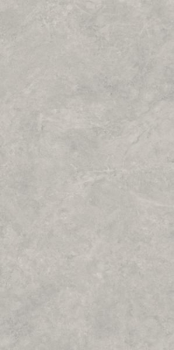 Picture of Porceline tiles Lightstone Grey Rekt. Mat. 59,8*119,8 #S