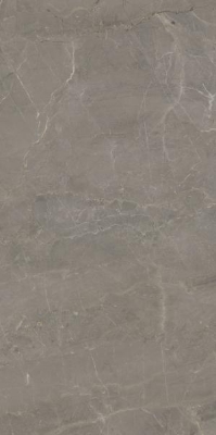 Изображение Керам.гр.плитка Wonderstone Light Grey Rekt. Poler 59,8*119,8 #S