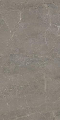 Picture of Porceline tiles Wonderstone Light Grey Rekt. Poler 59,8*119,8 #S