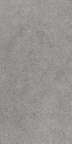 Picture of Porcelain tiles Authority Grey Rekt. Mat. 59,8*119,8 #S