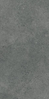 Picture of Porcelain tiles Authority Graphite Rekt. Mat. 59,8*119,8 #S