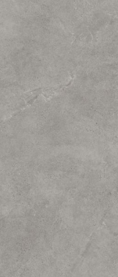 Picture of Porcelain tiles Authority Grey Rekt. Mat. 120*280 #S