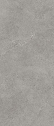 Picture of Porcelain tiles Authority Grey Rekt. Mat. 120*280 #S