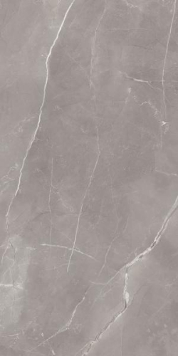 Picture of Porcelain tiles Ritual Grey Rekt. Mat. 59,8*119,8 #S