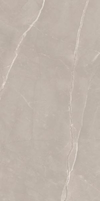 Picture of Porcelain tiles Ritual Taupe Rekt. Mat. 59,8*119,8 #S