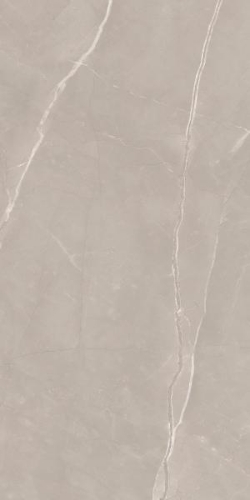 Picture of Porcelain tiles Ritual Taupe Rekt. Mat. 59,8*119,8 #S