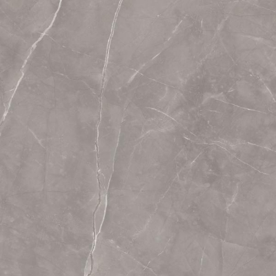 Picture of Porcelain tiles Ritual Grey Rekt. Mat. 120*120 #S