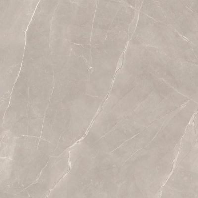 Picture of Porcelain tiles Ritual Taupe Rekt. Mat. 120*120 #S