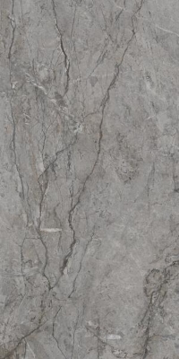 Picture of Porcelain tiles Visioner Grey Rekt. Poler 59,8*119,8 #S