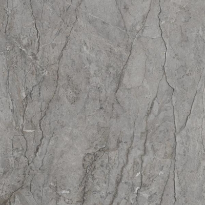 Picture of Porcelain tiles Visioner Grey Rekt. Poler 120*120 #S