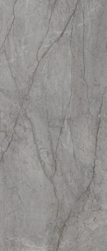 Picture of Porcelain tiles Visioner Grey Rekt. Poler 120*280 #S