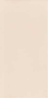 Изображение Плитка для стен Neve Creative Beige полер. 9,8*19,8 #S