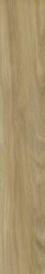 Picture of Porceline tiles Prettywood Gold Str. Mat. 19,8*119,8 #S