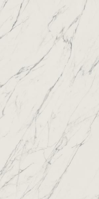 Picture of Porceline tiles Elite White Rekt. Poler  59,8*119,8 #S