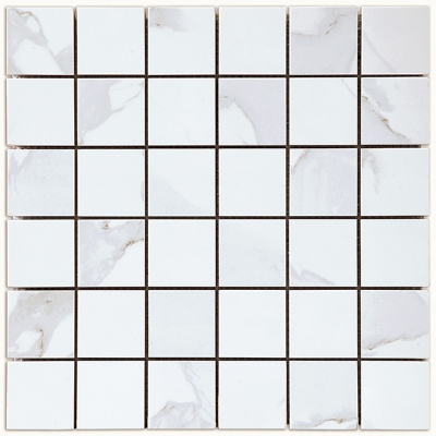 Изображение Мозаика Domus Bianco 30*30 (5x5) #S