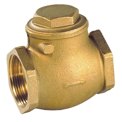 Picture of Swing check valve 1/2'