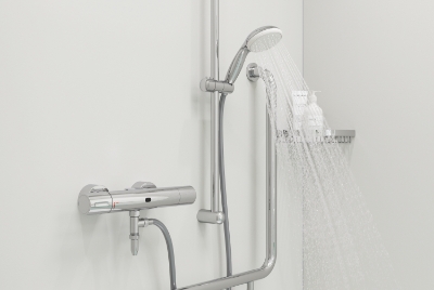 Picture of Tempesta 100 Hand shower 1 spray