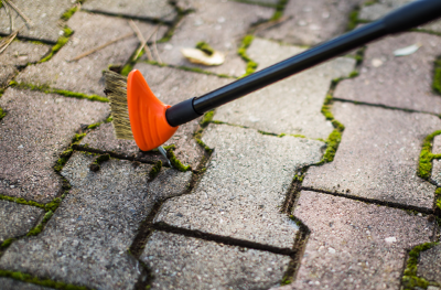 Picture of Wire brush for grout