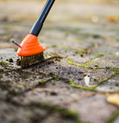 Picture of Wire brush for grout