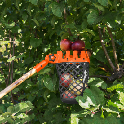 Picture of Fruit harvester, without a handle