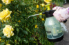 Picture of Pressure sprayer "AQUA SPRAY" 2.0 L