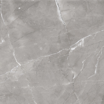 Picture of Porceline tiles Etania Grey Matt 60*60