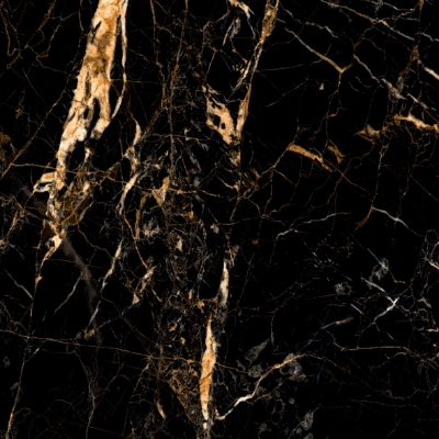 Picture of Porceline tiles HG Golden Black Glossy 60*60